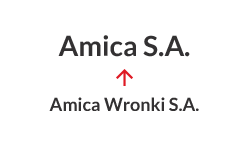 2016 - Αλλαγή της επωνυμίας από Amica Wronki S.A. σε Amica S.A.